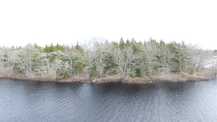 WentworthHalbinsel (62)